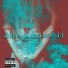 Download track She Knows It