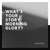 Download track What's Your Story Morning Glory?