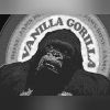 Download track Vanilla Gorilla I