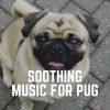 Download track Music For A Calm Hound, Pt. 16