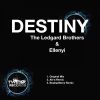 Download track Destiny (Alt-A Remix)