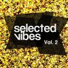 Download track Selected Vibes, Vol. 2 (Continuous Mix)