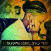 Download track Sthandwa Senhliziyo Yam