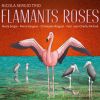 Download track Flamants Roses