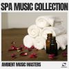 Download track Soothing Spa Music