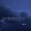 Download track 我好像突然失去了你 (伴奏)