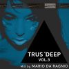 Download track Trus'Deep, Vol. 3 (Mixed By Mario Da Ragnio) [Continuous DJ Mix]