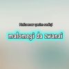 Download track Malomegi Da Zwanai