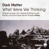 Download track What Were We Thinking (An Sinewave Remix)