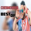 Download track Habibi Chou Ghayarek