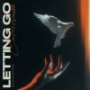 Download track Letting Go (Radio Edit)