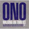 Download track Walking On Thin Ice [Pet Shop Boys Electro Mix (Edit)]