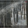 Download track Winterreise, Op. 89, D. 911 (Arr. For Voice, English Horn & String Trio By Eduard Wesly) No. 24, Der Leiermann