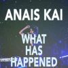 Download track What Has Happened