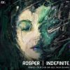 Download track Indefinite (Mr Red Remix)