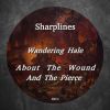 Download track About The Wound And The Pierce