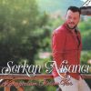 Download track Bir Sevdadır Ankara