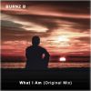 Download track What I'am (Original Mix)