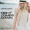 Download track Night Comes Down (Original Mix)