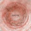 Download track Seismic