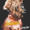 Download track Halloween