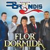 Download track Flor Dormida