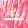 Download track Angry Love (Andy Mcdade Remix)