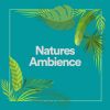 Download track A Trip Into Nature