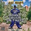 Download track Money Grows On Trees