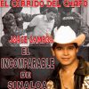 Download track El Rayo De Sinaloa