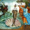 Download track CELLULAR HEALING BREATHWORK