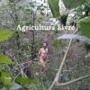 Download track Sexo, Ecologia, Espiritualidade