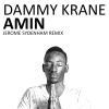 Download track Amin Jerome Sydenham Rmx