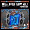 Download track Tribal Lovers (Original Mix)