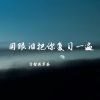 Download track 何必哭诉非春时