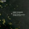 Download track Symphony No. 1 In B-Flat Major, Op. 38 II. Larghetto