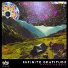 Download track Infinite Gratitude