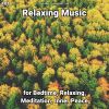 Download track Relaxing Music, Pt. 2