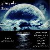 Download track Hidden Moon