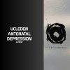 Download track Antenatal Depression (Jaap Ligthart Mix)