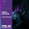 Download track Awakening (Extended Mix)