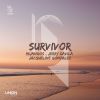 Download track Survivor (Latin House Radio Edit)