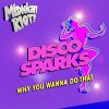 Download track Why You Wanna Do That (Extended Mix)