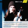 Download track Violin Concerto No. 2 In D Major, K. 211 - II. Andante