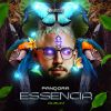 Download track Esseencia (Original Mix)