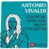 Download track Concerto For Oboe And Bassoon In G Major, RV 545: III. Allegro Molto