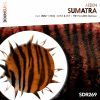 Download track Sumatra (Kiyoi & Eky Remix)