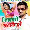 Download track Pichkari Satake Hure