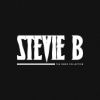 Download track Love Me For Life (Stevie B Vs DJ Comet)