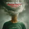 Download track Perfect Storm (Radio Edit)